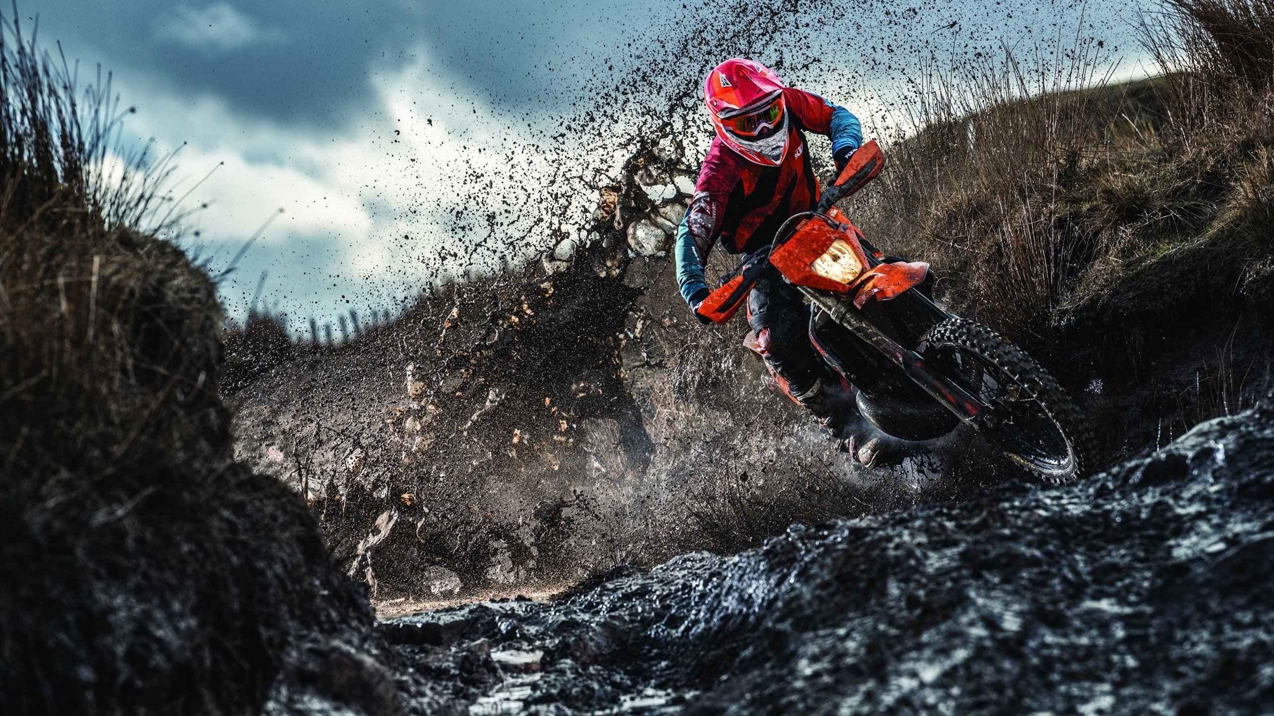 “阿根廷美洲狮队:橄榄球冠军赛的黑马崛起”